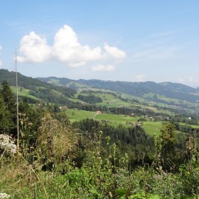 140907 Kola bodam jezero DSC05484